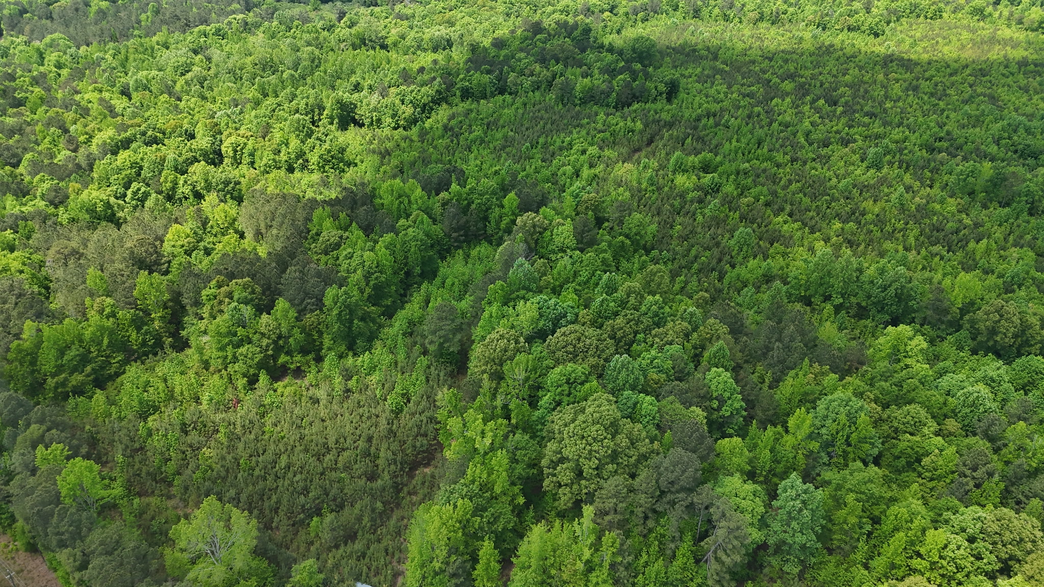 Land at 268 Ogletree Road in Greenville